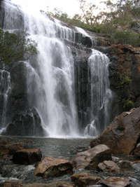 McKenzie Falls Courtesy Tourism Victoria