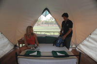 Safari-Tent-Top-End